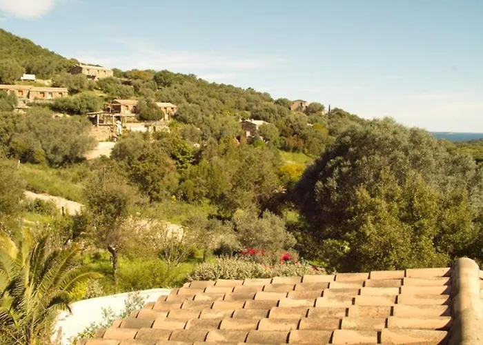 Casa With Pool Near Palombaggia Ferienhaus Porto-Vecchio (Corsica)